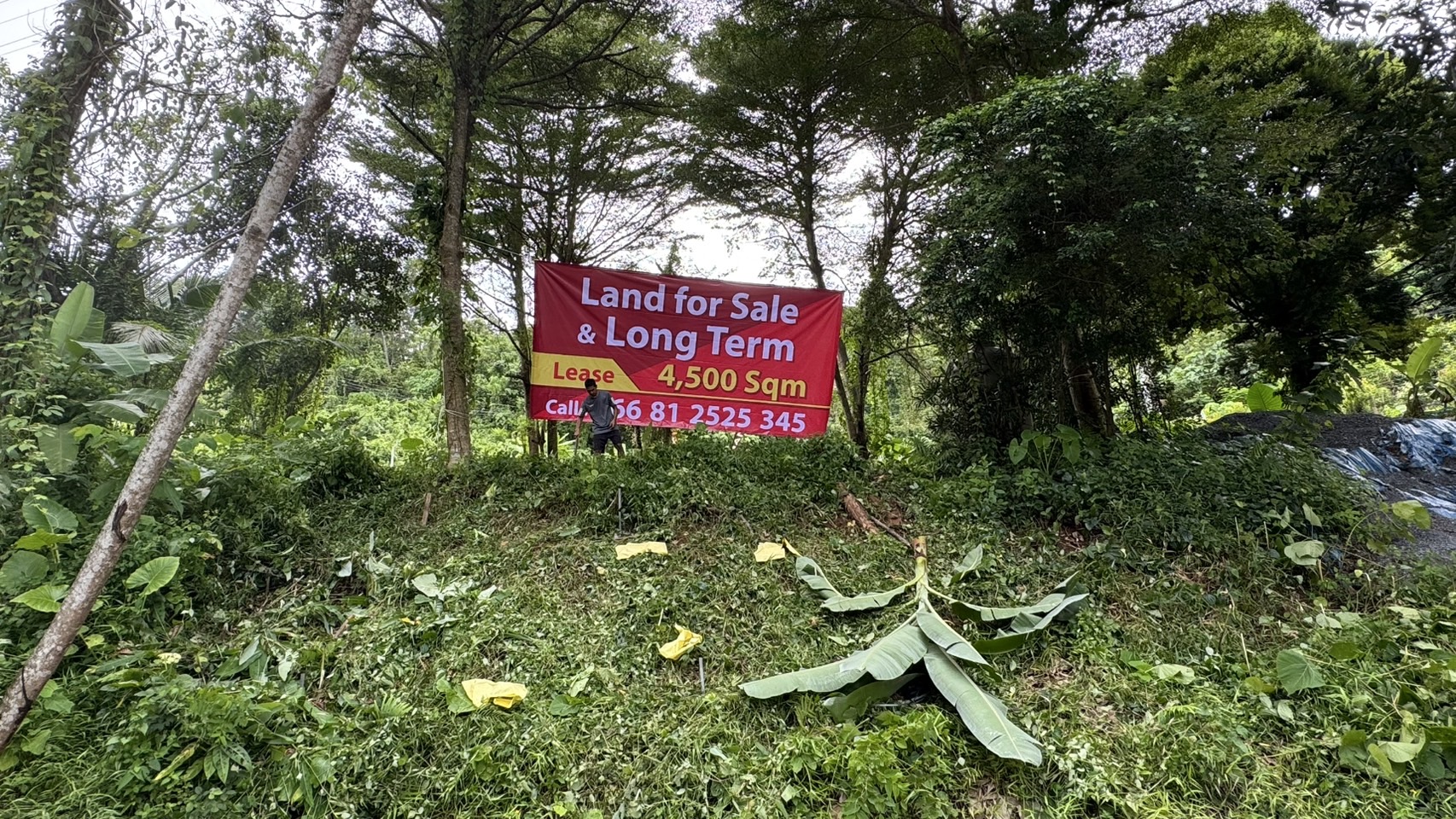 Land for Sale Sea view KohKeaw Phuket 
